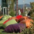 <h2>Minder Kiralama (ARMUT-KÜP PUF-KARE)</h2>